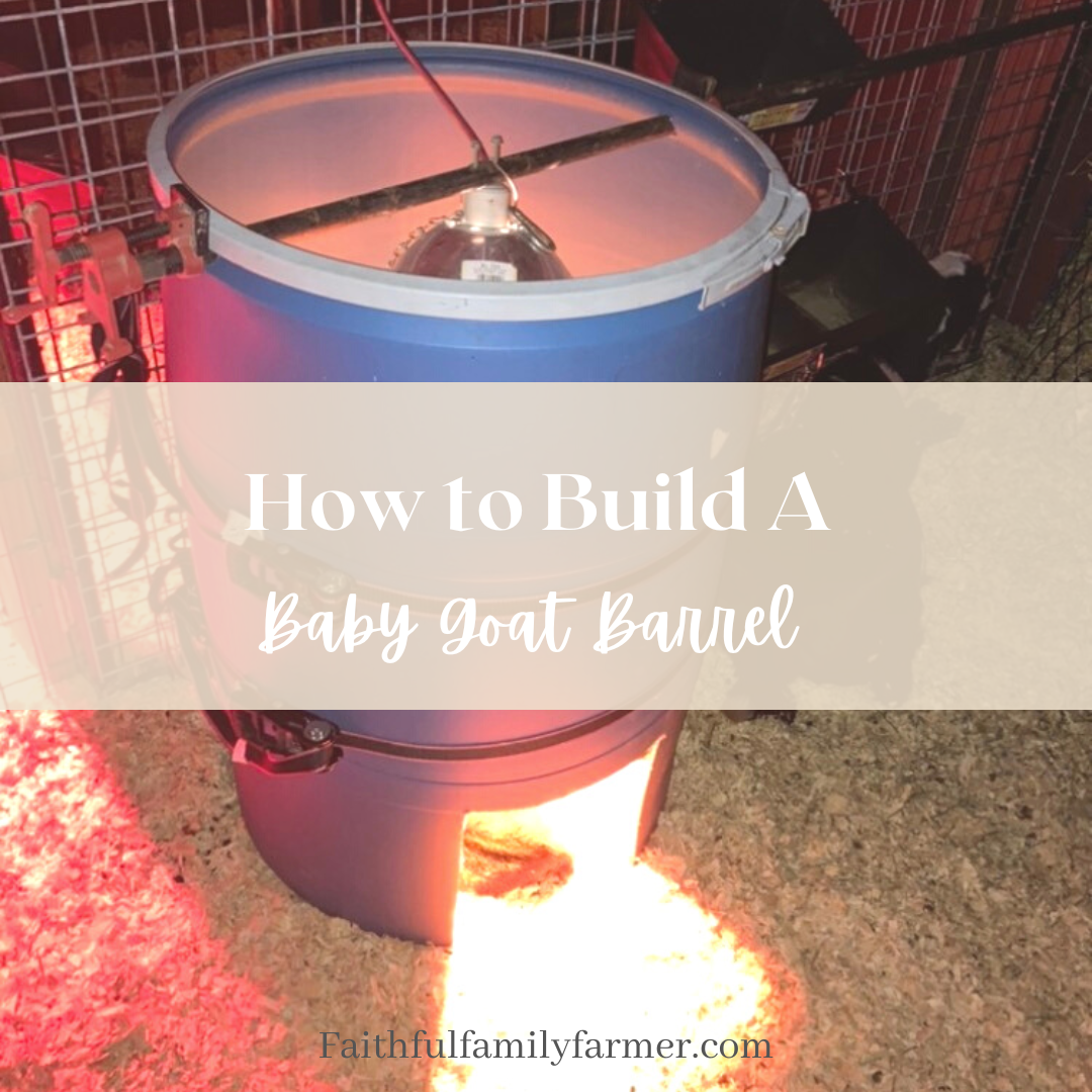 How To Build A Baby Goat Warming Barrel