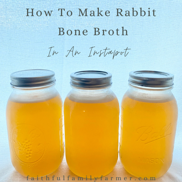 How To Make Rabbit Bone Broth In An Instant Pot