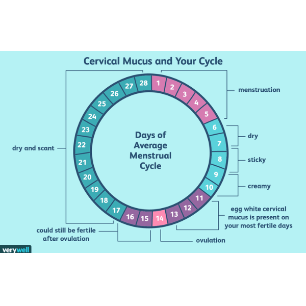 cervical mucus tracker