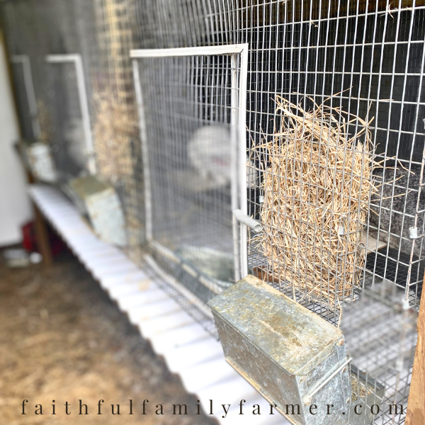 The Best Indoor/Outdoor Ideas For A Rabbit House